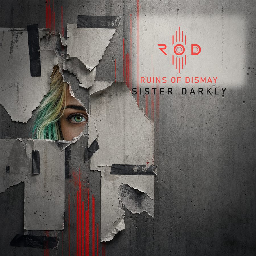 Missing Poster Concrete Wall Sister Darkly cover